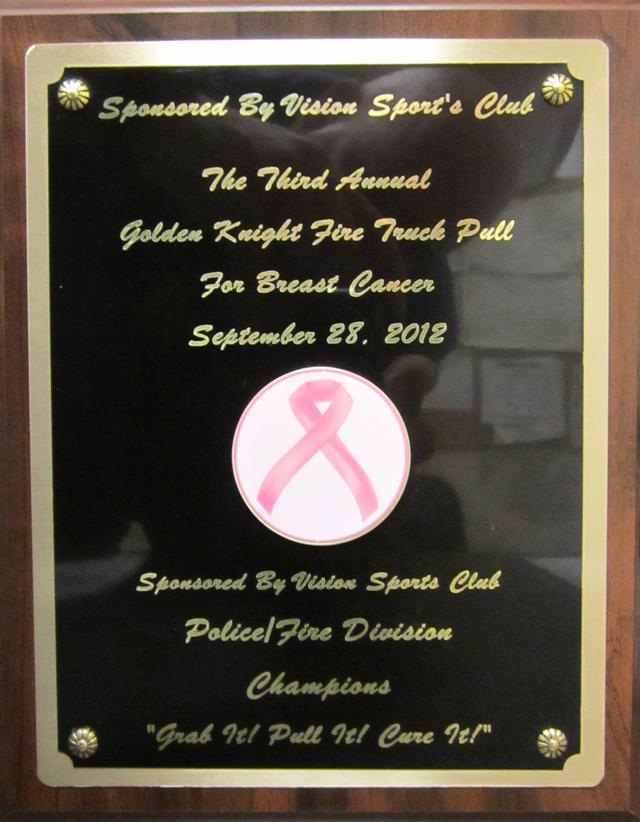 3rd Annual Fire Truck Pull for Breast Cancer. Team members. A.J. Knapp, Bob and Matt Galyon, Vinnie Tuzzolino, Dan Maloney, Rich Biddleman, Mike Kubasek, Dennis Poole and Matt Younghans. Great Job!!!!               Photo by Vincent P. Tuzzolino